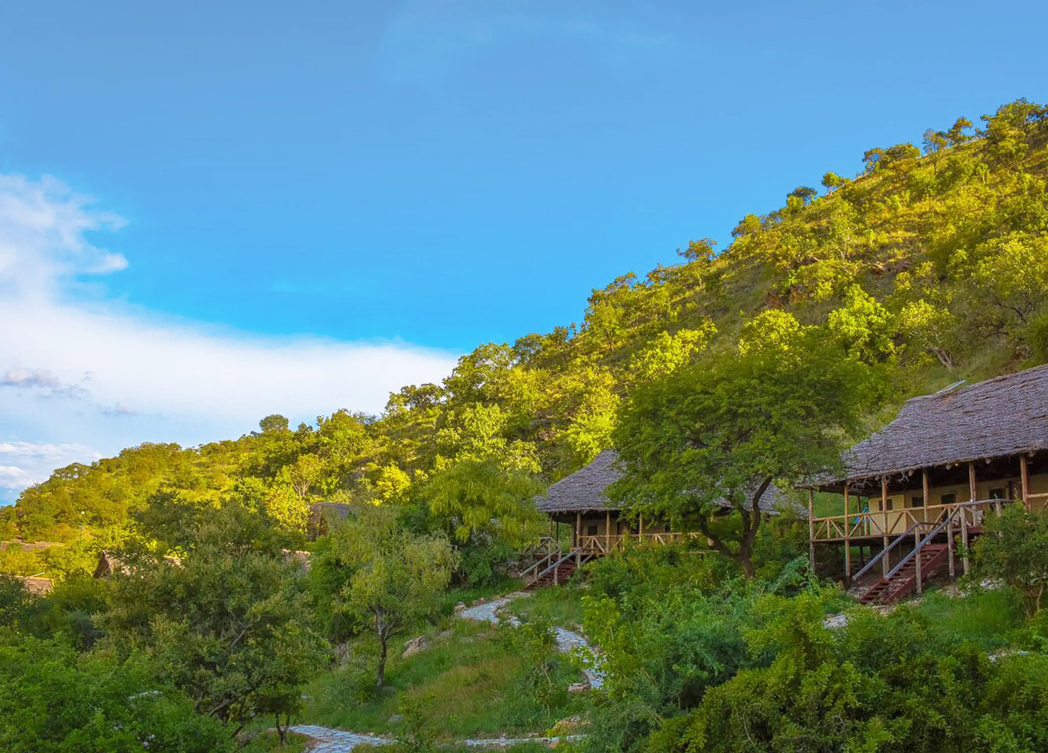 Tanzania Travel Guide