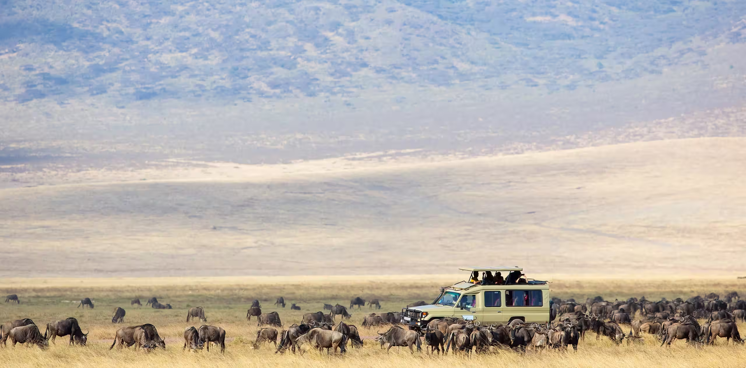 Tanzania Travel Guide