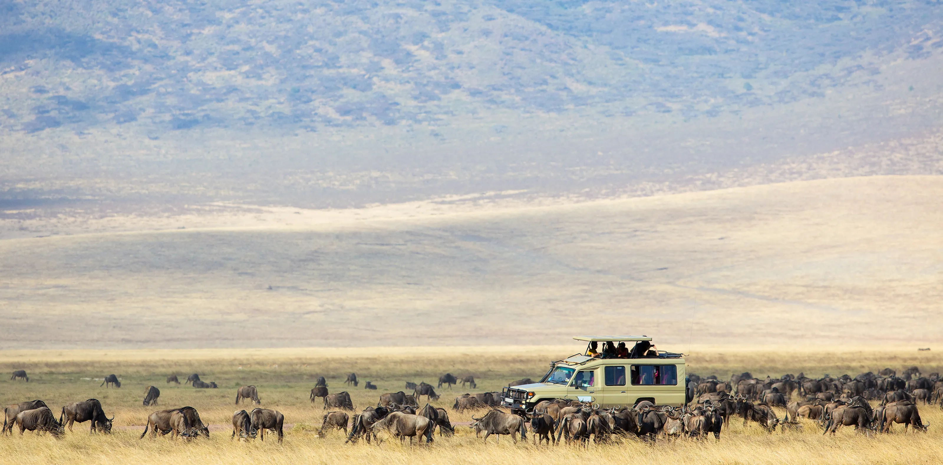 Tanzania Travel Guide