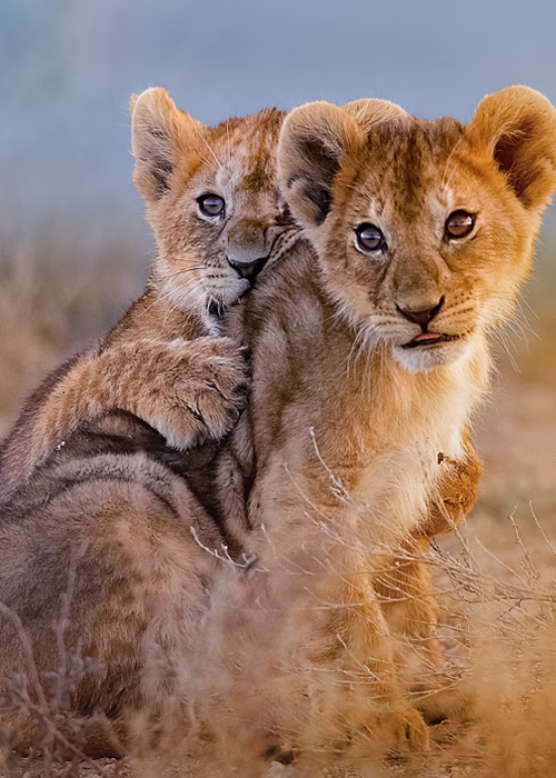 Arusha National Park