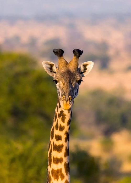 Arusha National Park