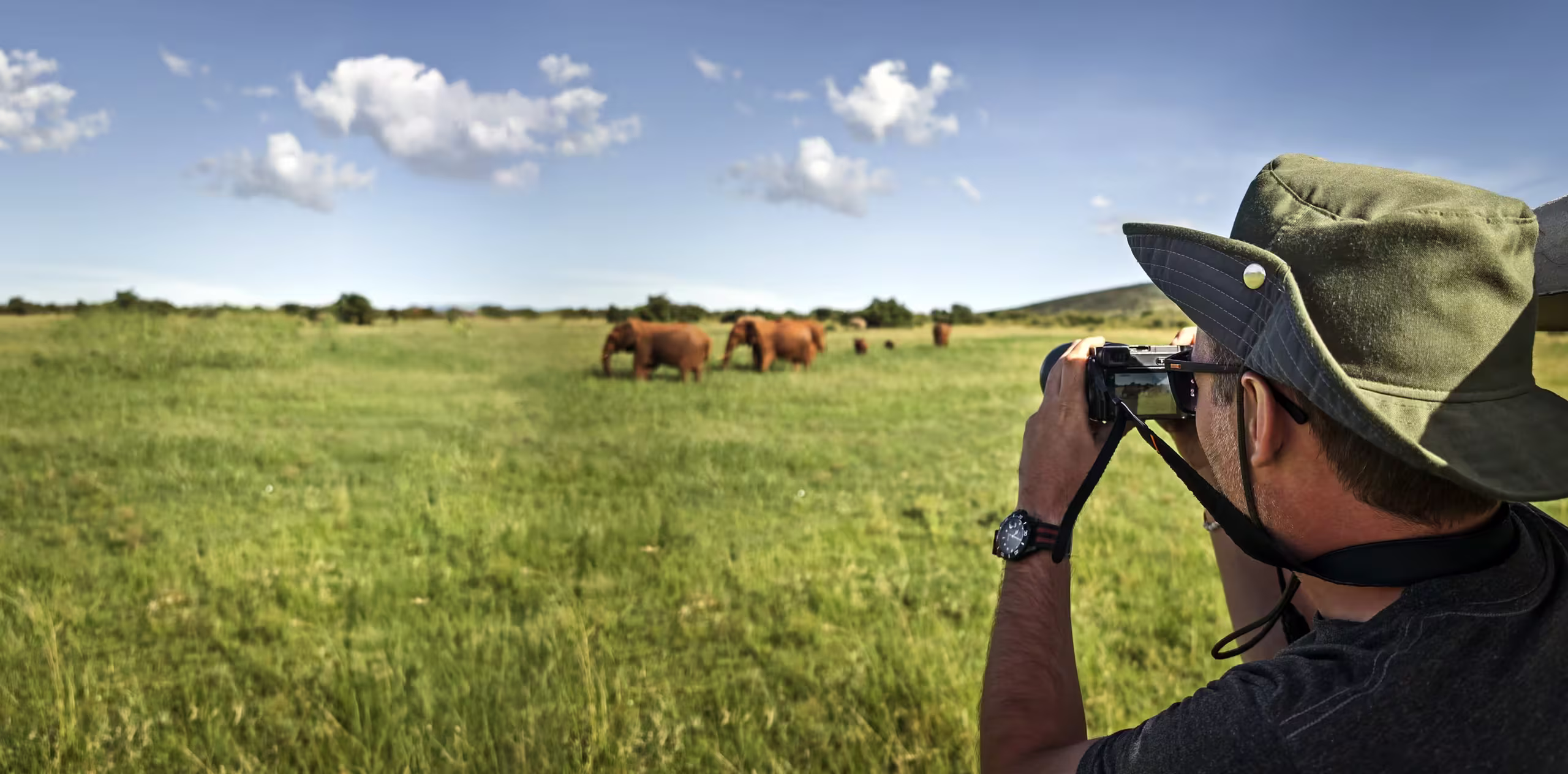 Tanzania National Parks