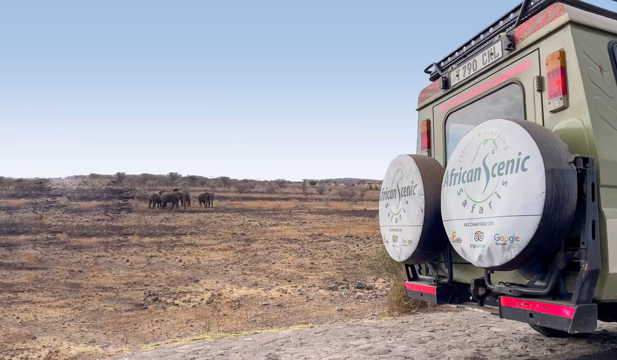 Tarangire Safari Packages