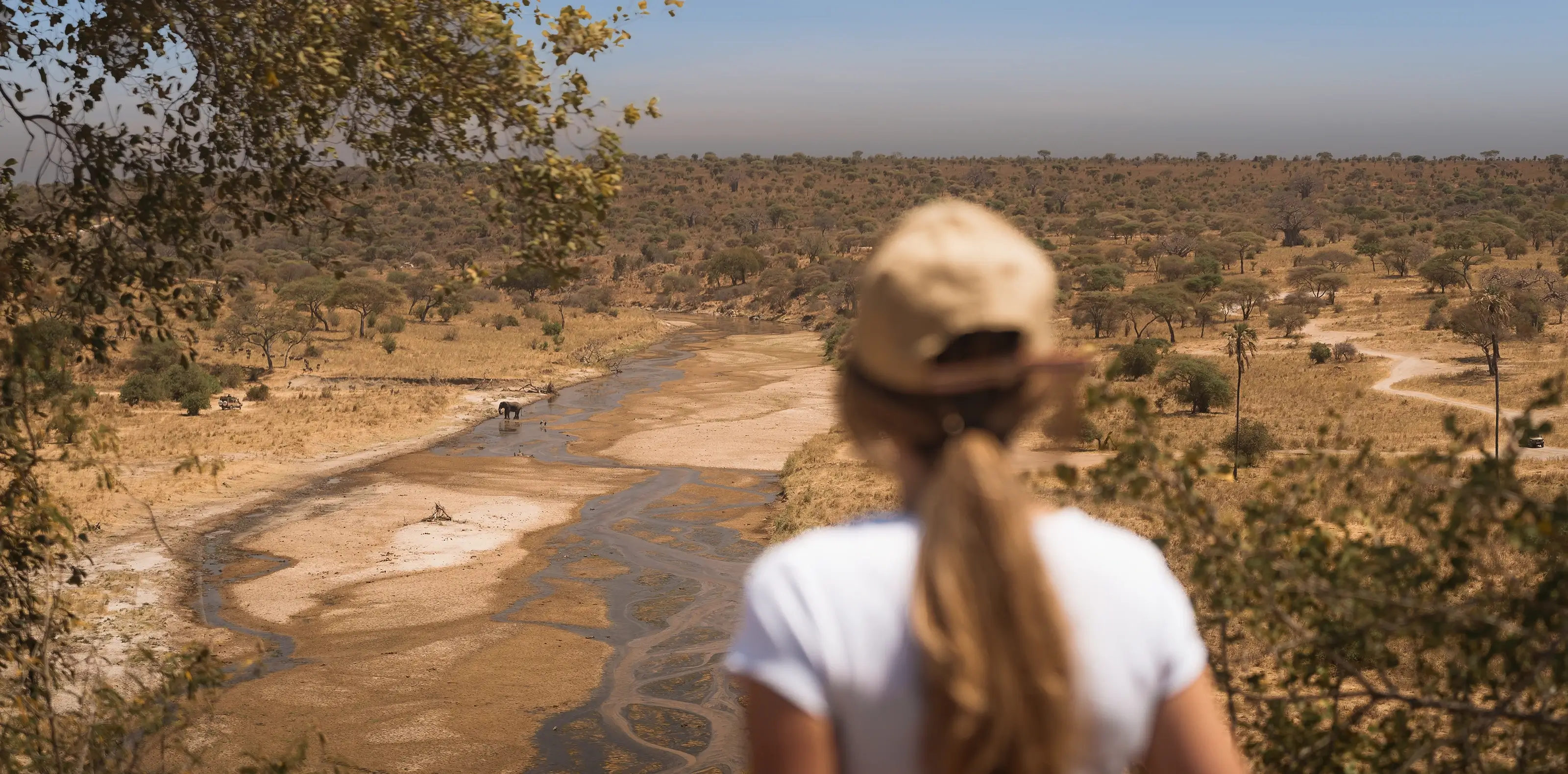 Tarangire National Park