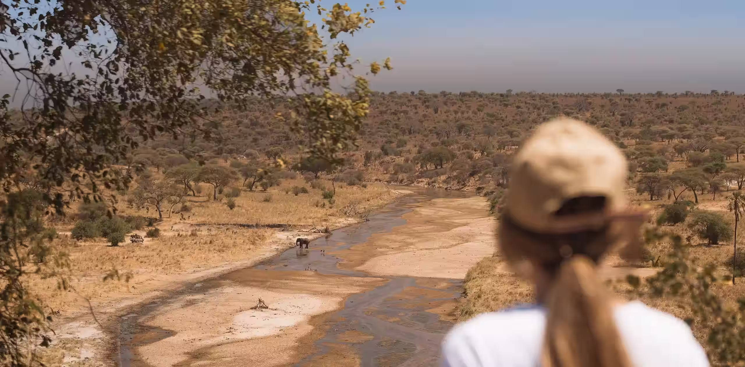 Tarangire National Park