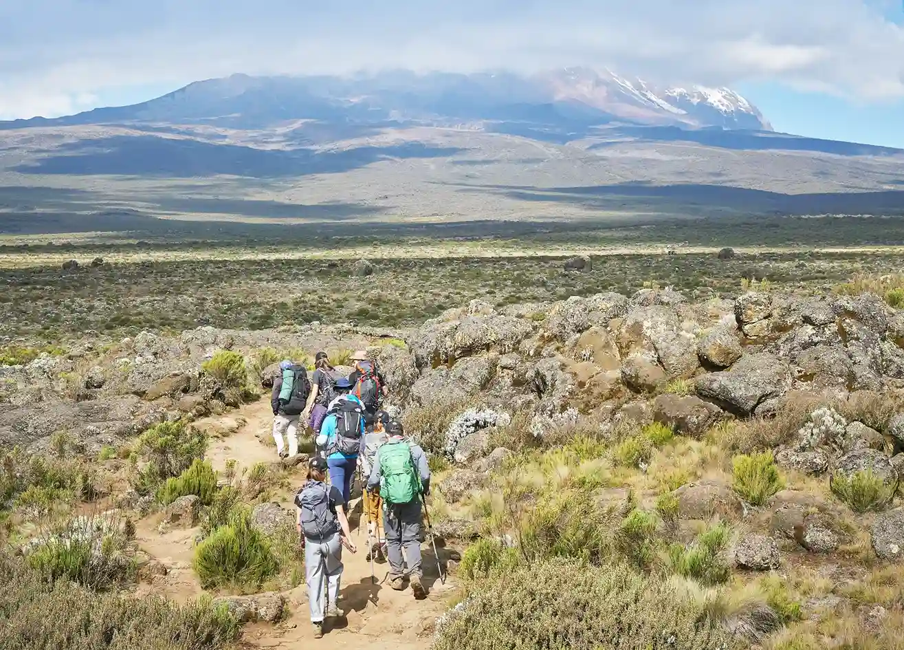 Kilimanjaro Day Hike
