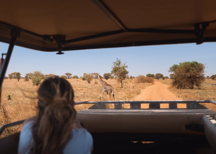 Serengeti National Park Activities