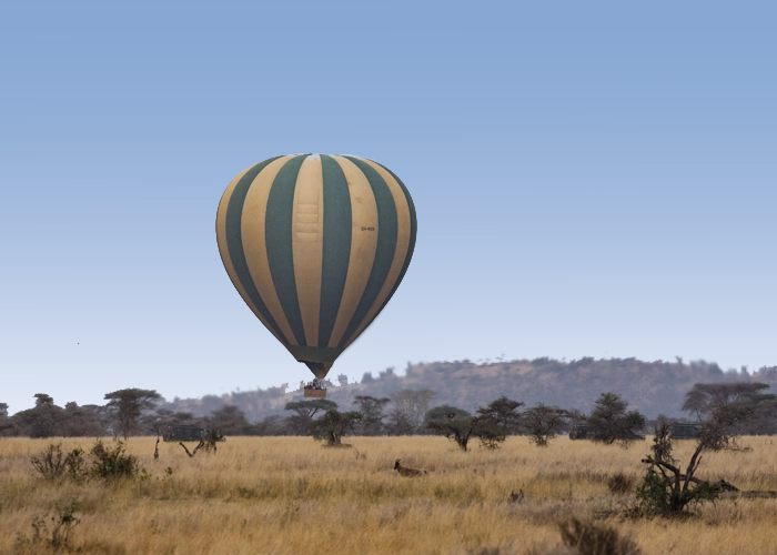 Serengeti National Park Activities