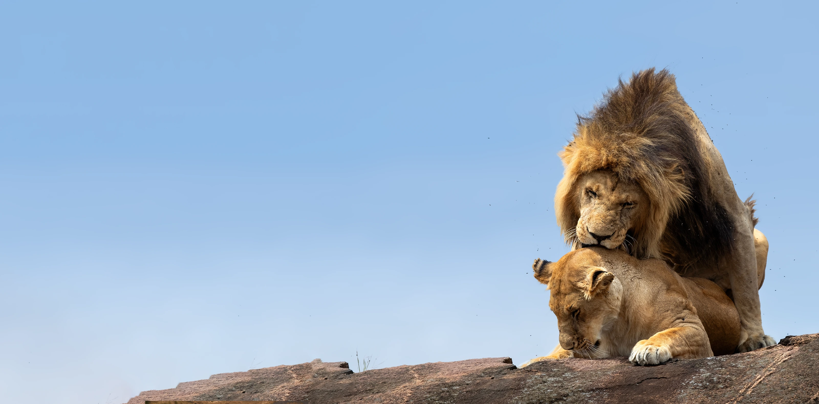 13 Days Ultimate Southern Tanzania Safari