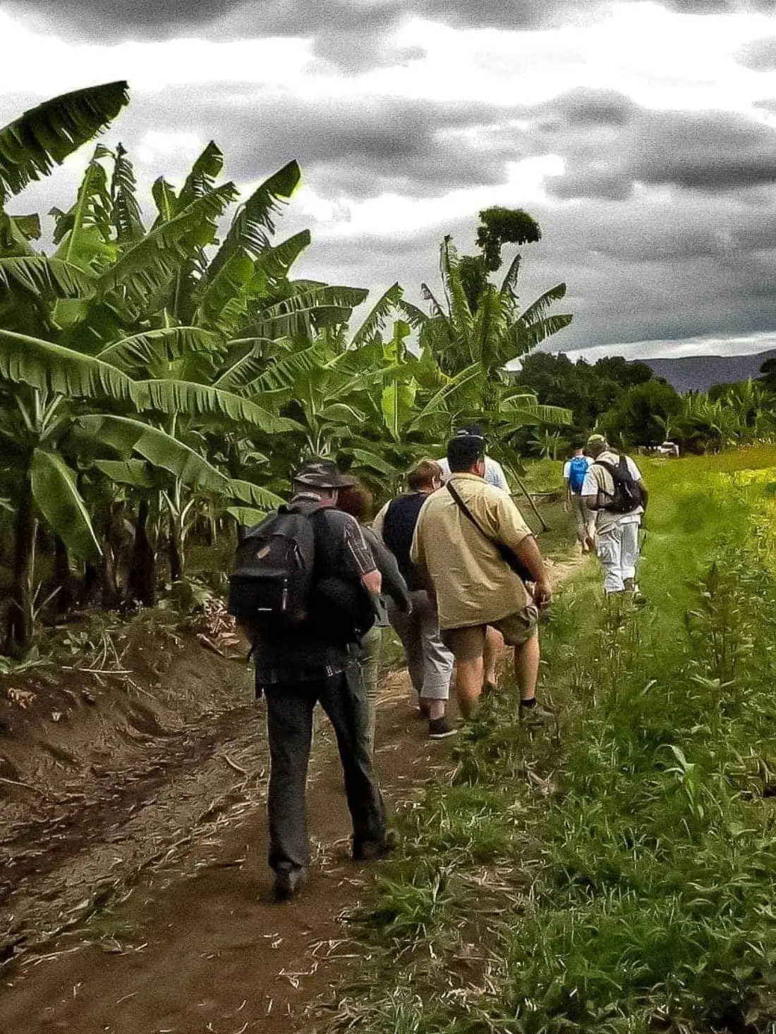Positive Impact Tanzania