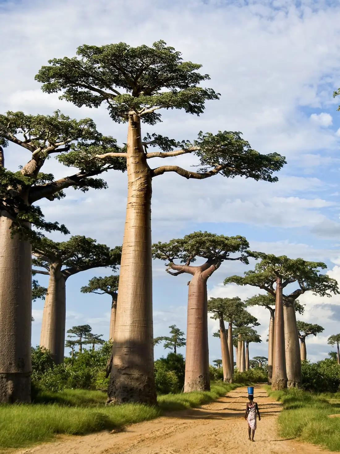 Positive Impact Tanzania