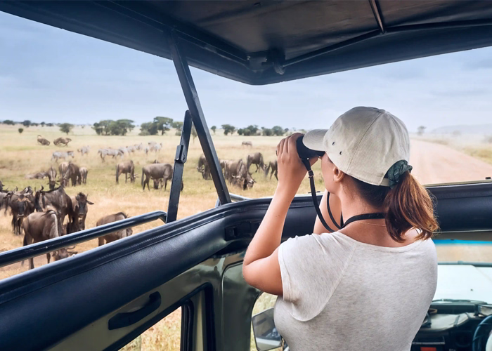 Tanzania Safari Cost From Usa