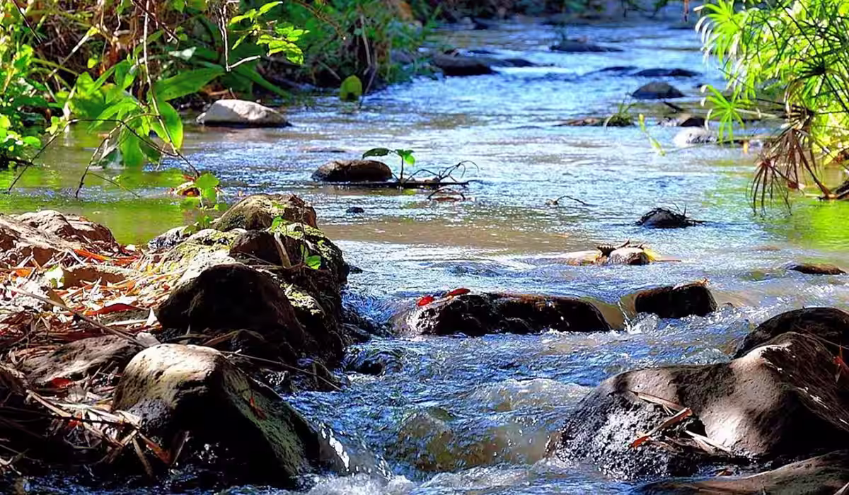 50 Things To Do In Arusha