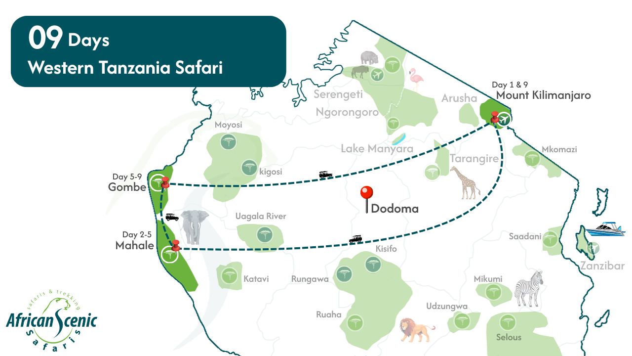 9 Days Western Tanzania Safari