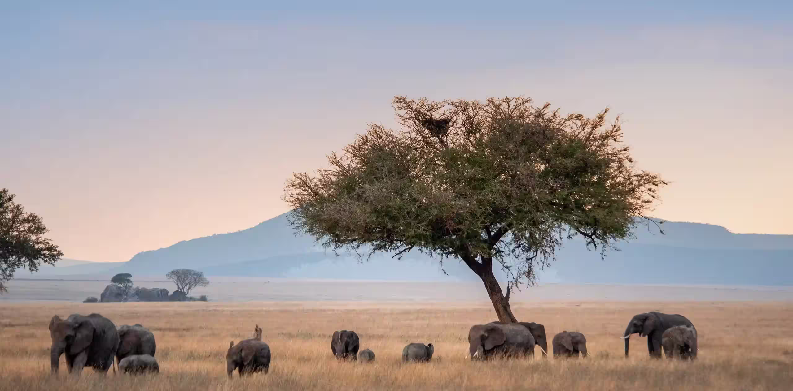 When To Visit Serengeti National Park
