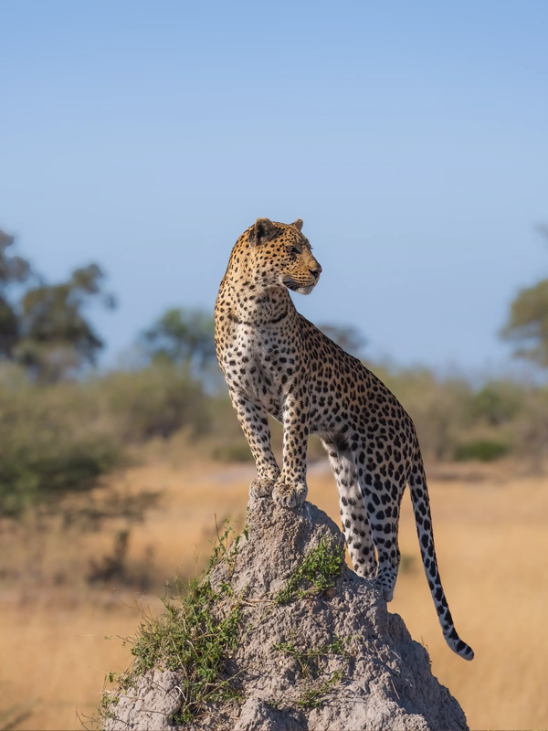 Tanzania Closer To Nature