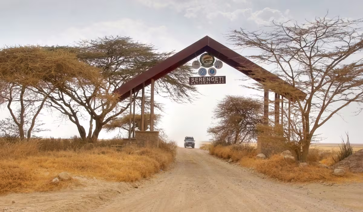 Wildebeest Migration Safari Cost