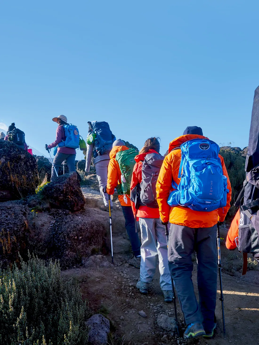 7 Days Machame Route