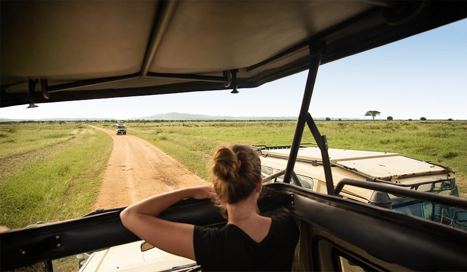 Cost Of Tanzania Safari