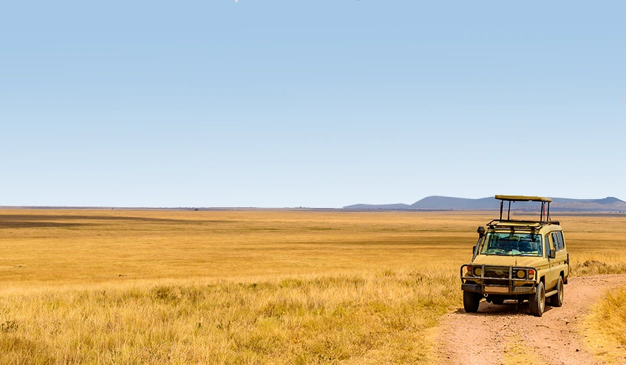 Best Tanzania Safari Cost 2025