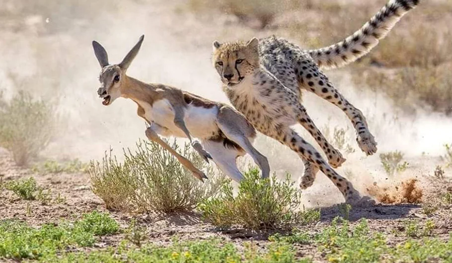 Tanzania Vacation Cost