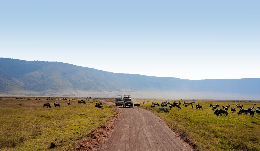 Tanzania Safari Tours Cost