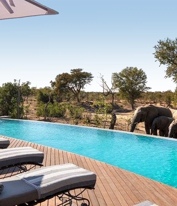 Tanzania Safari Cost