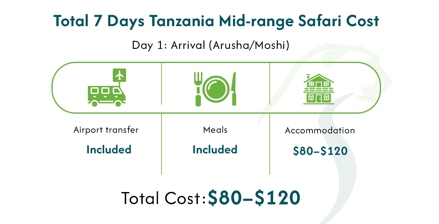 Tanzania Budget Safari Cost