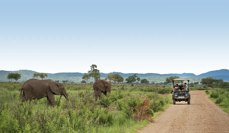 Tanzania Safari Tour Prices 2025