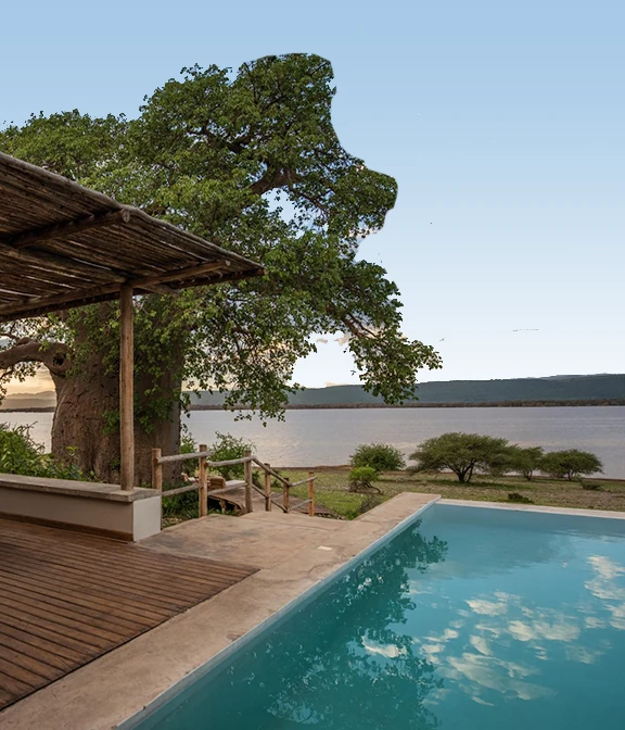 Safari In Tanzania Cost Per Day