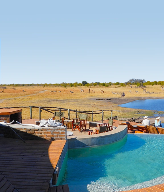 How Much Is Safari In Tanzania