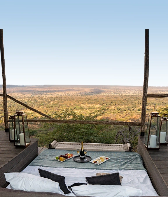 How Much Is Safari In Tanzania