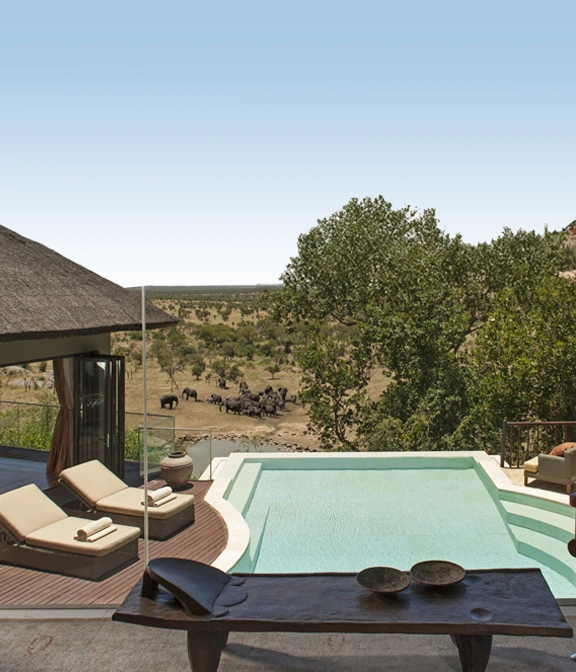 How Much Is Safari In Tanzania