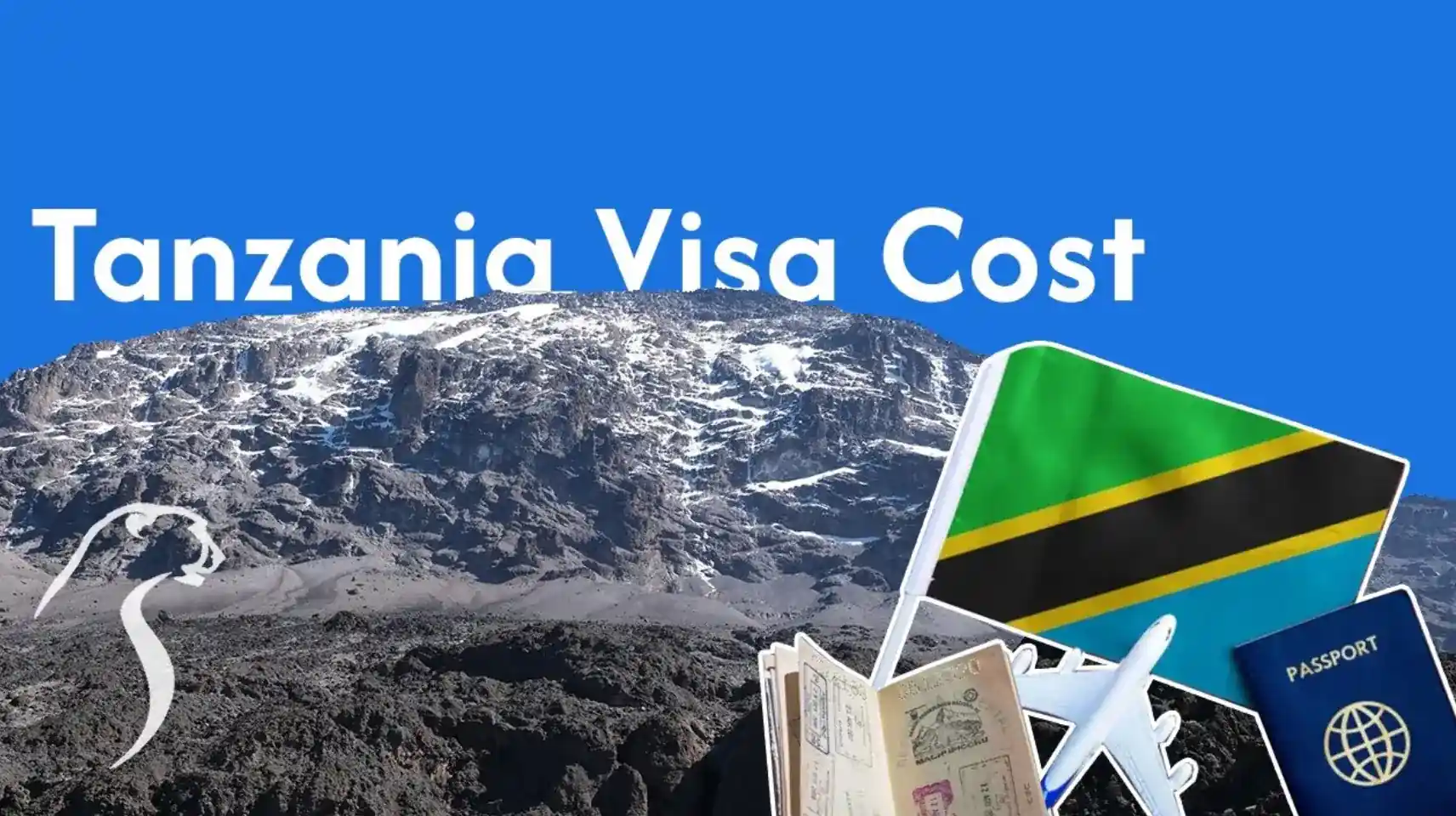 Tanzania Visa Cost