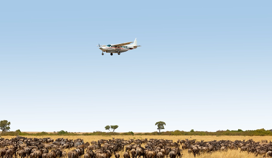 Fly-In Safaris Cost