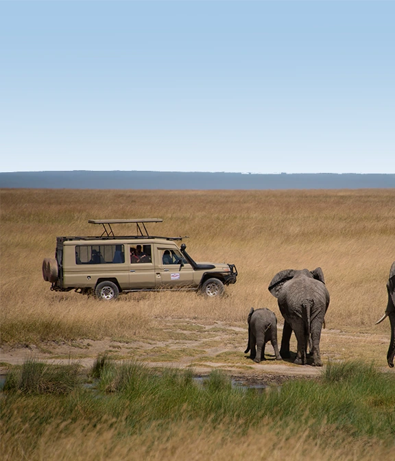 Safari Tour Tanzania Price