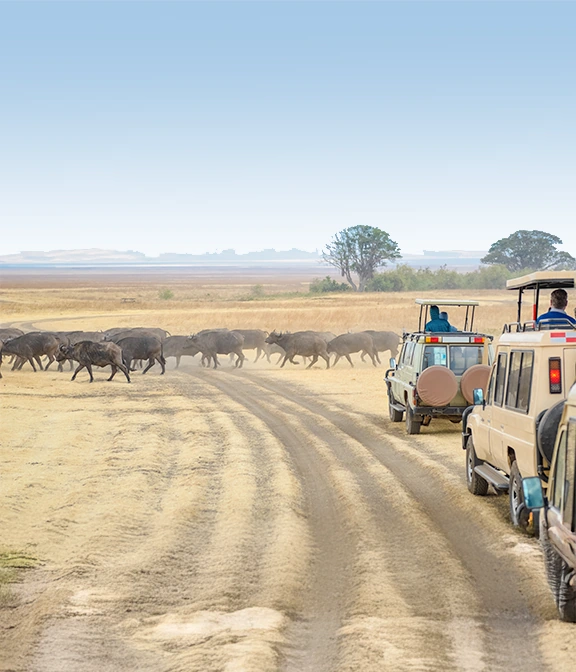 Safari Tour Tanzania Price