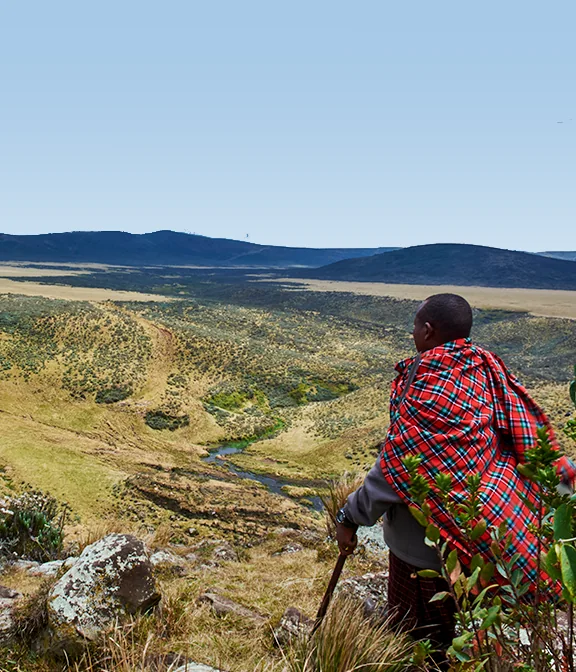 Safari Travel Agent Fee