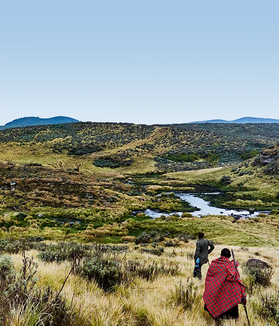 Safari Travel Agent Fee