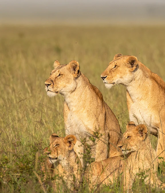 Tanzania Travel Cost