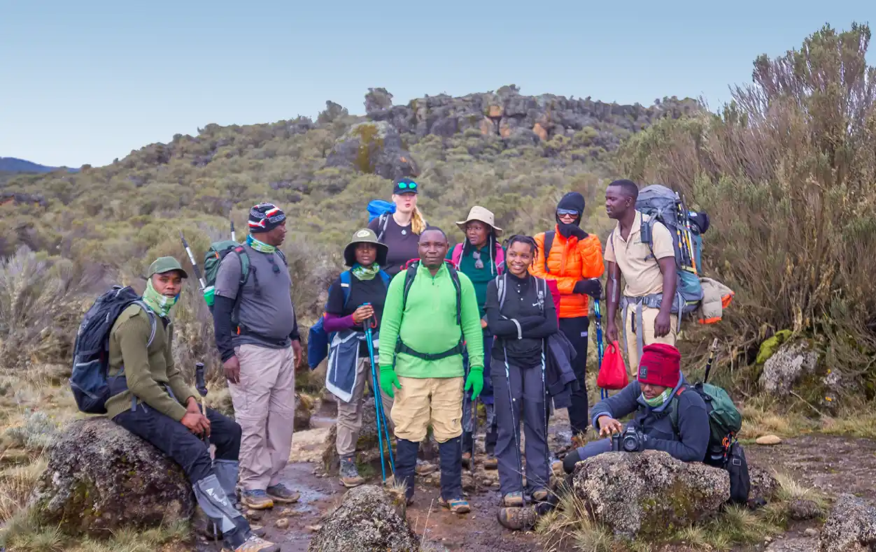 Local Structure, Local Team