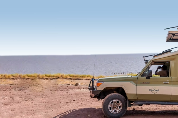 How To Book A Safari In Tanzania