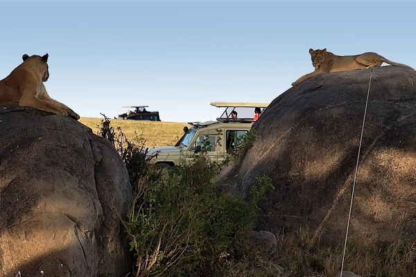 Tanzania Combined Safari Packages