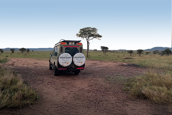 Tanzania Tour Operators