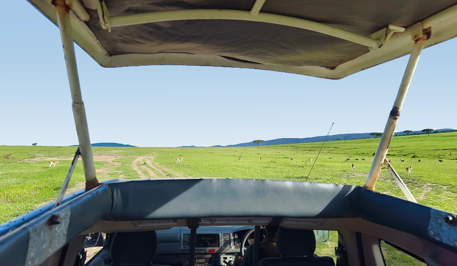 Tanzania Travel Cost Per Day Budget