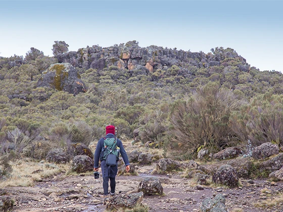 10 Days Lemosho Climbs