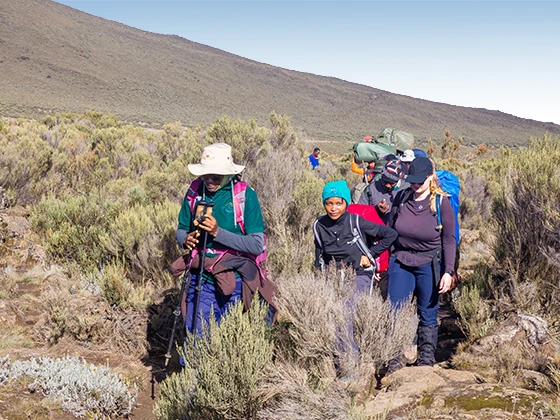 10 Days Lemosho Climbs