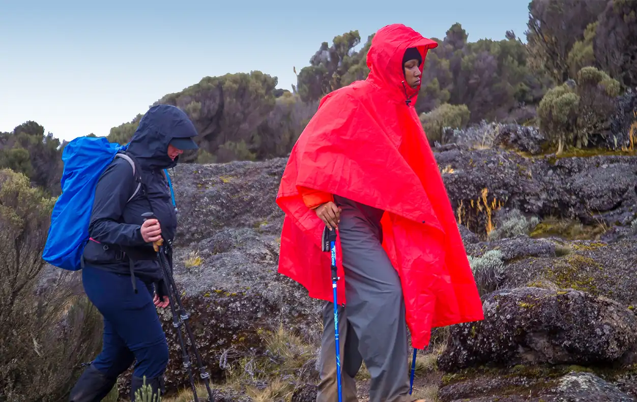 Private Climbs Always Guaranteed