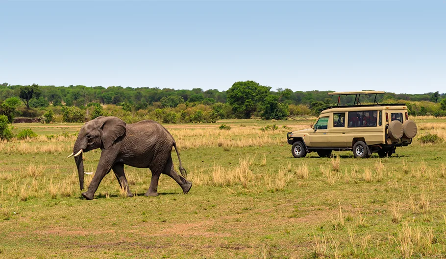 Safari Price Tanzania