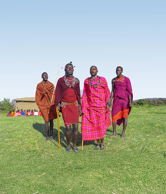 Tanzania Safari On A Budget Price